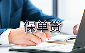 儋州保单贷