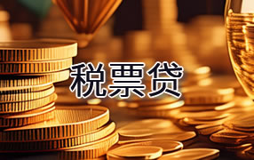 儋州税票贷